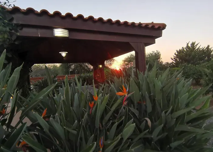 Orchard Blossom Private With Pool