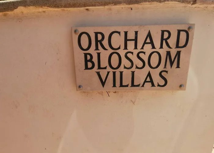 Orchard Blossom Private With Pool Vila *