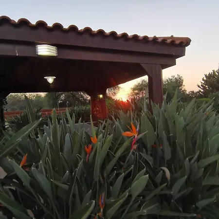 Orchard Blossom Private With Pool