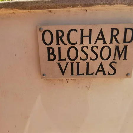 Orchard Blossom Private With Pool ヴィラ *